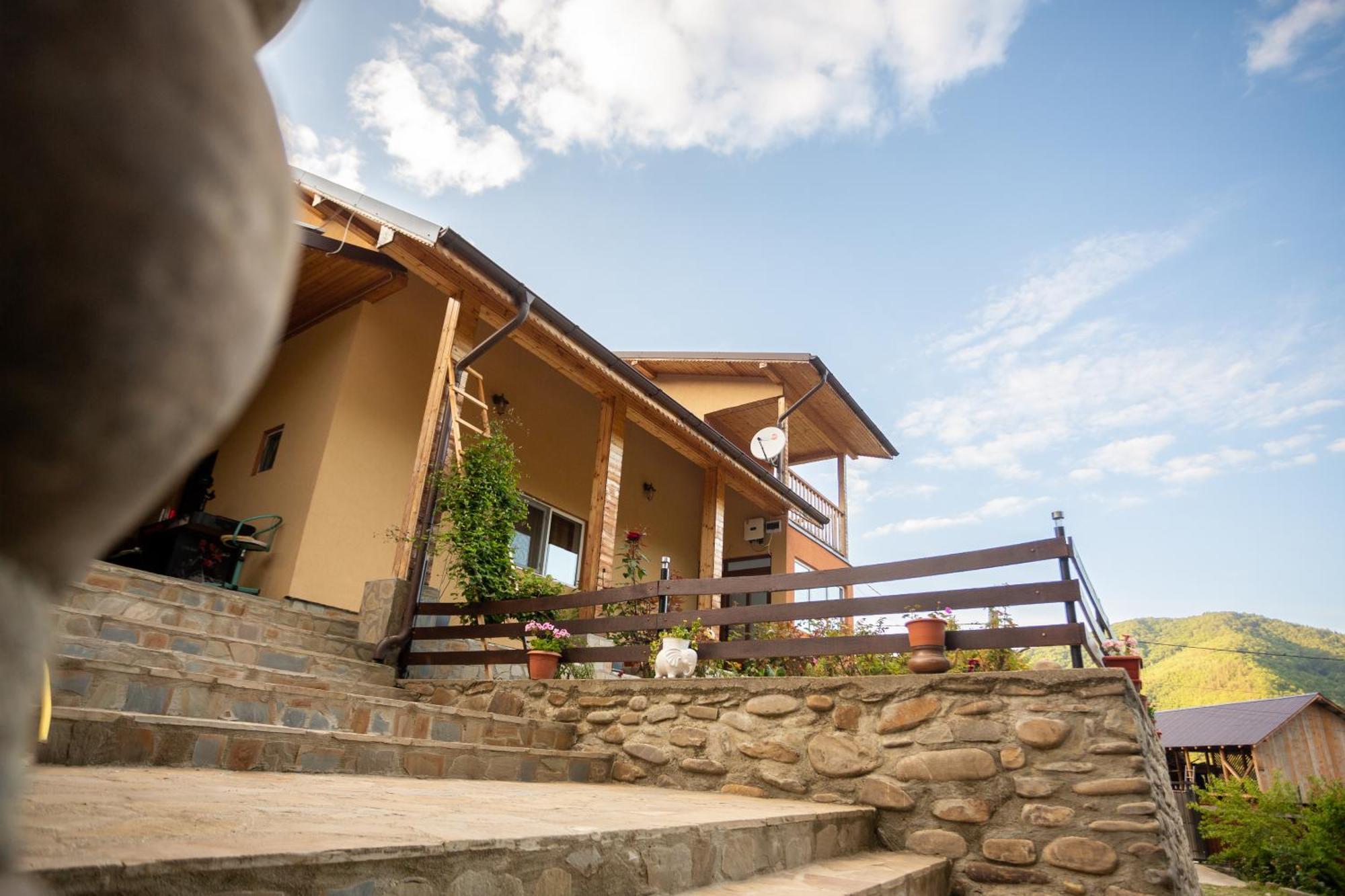 Casa Rumelia Paltineni Екстер'єр фото