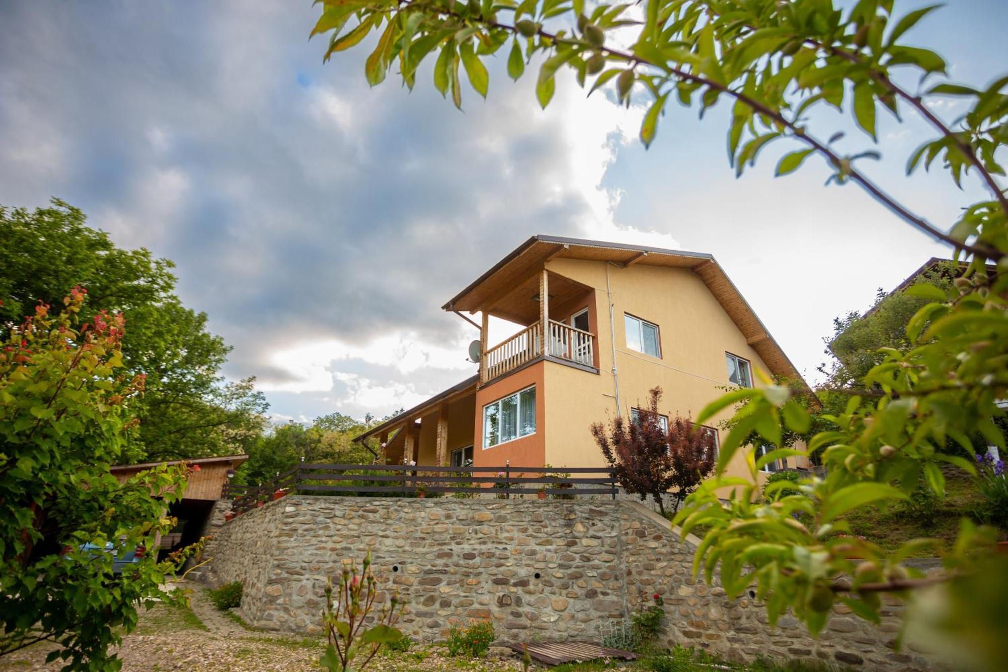Casa Rumelia Paltineni Екстер'єр фото