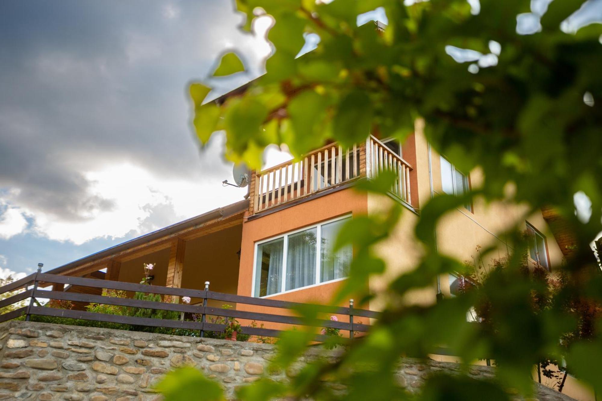 Casa Rumelia Paltineni Екстер'єр фото
