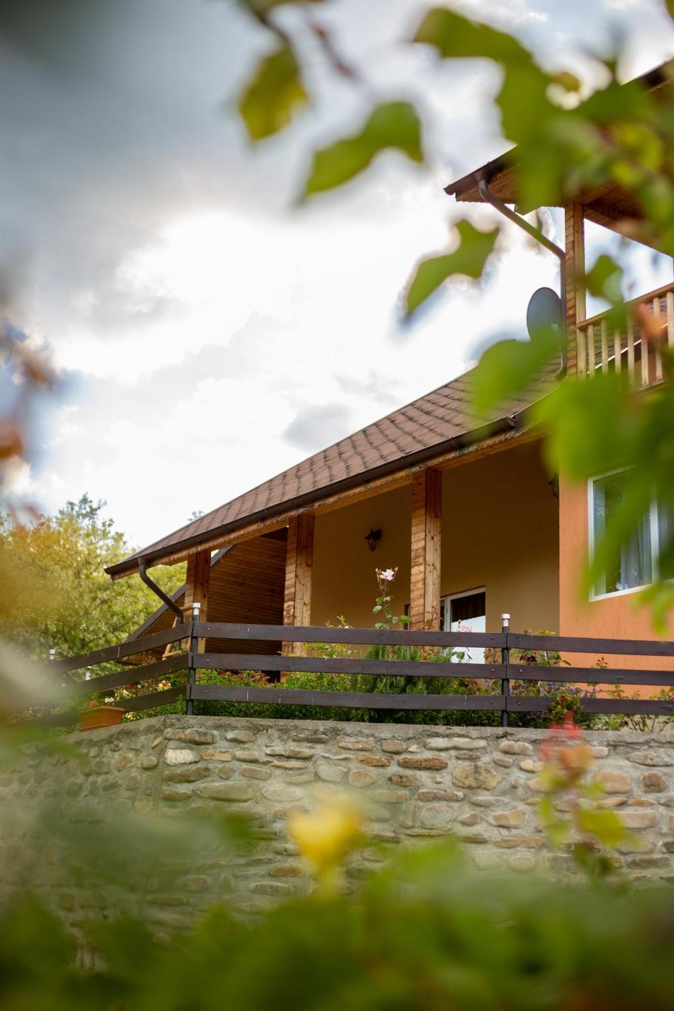 Casa Rumelia Paltineni Екстер'єр фото