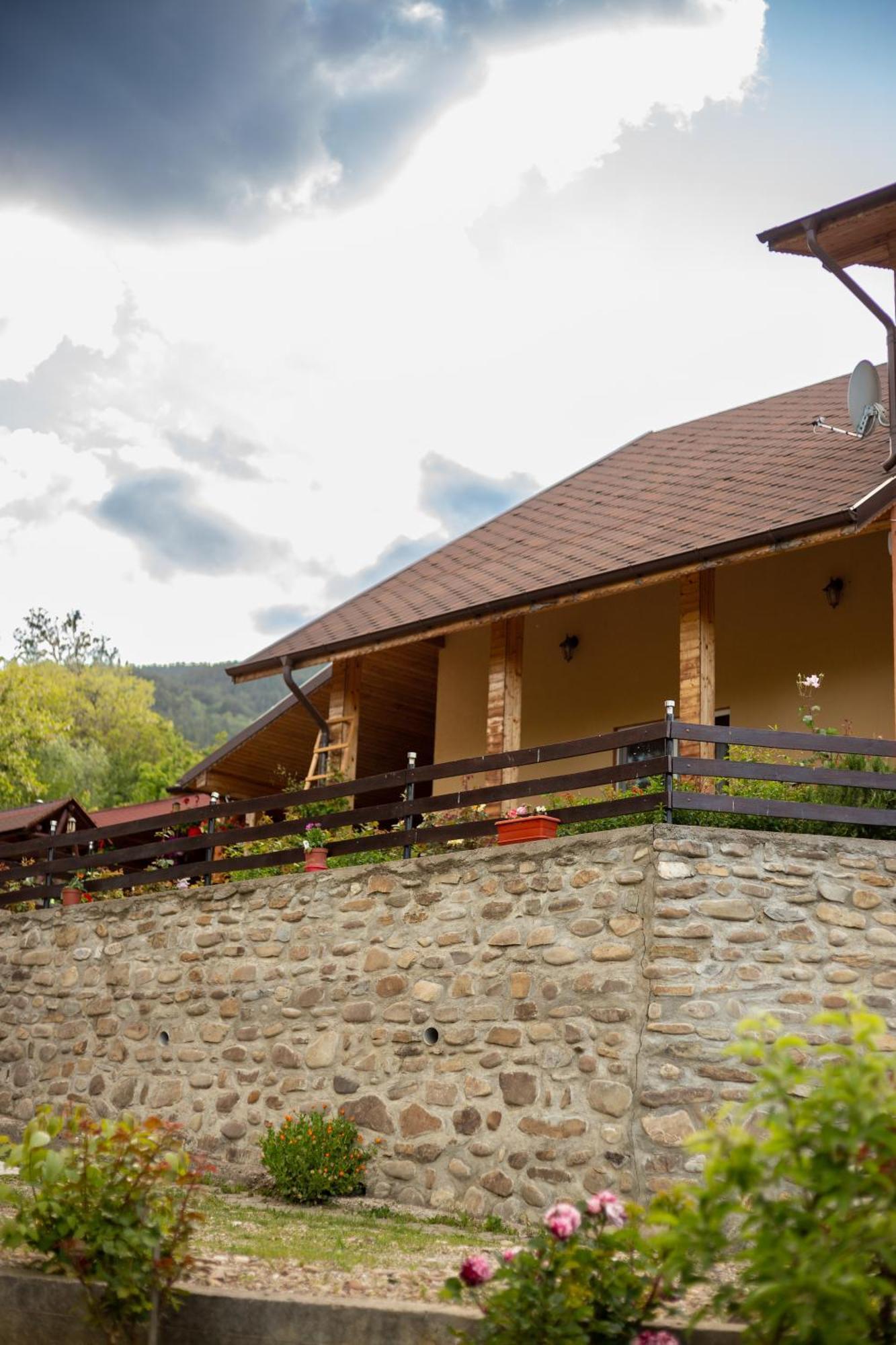 Casa Rumelia Paltineni Екстер'єр фото