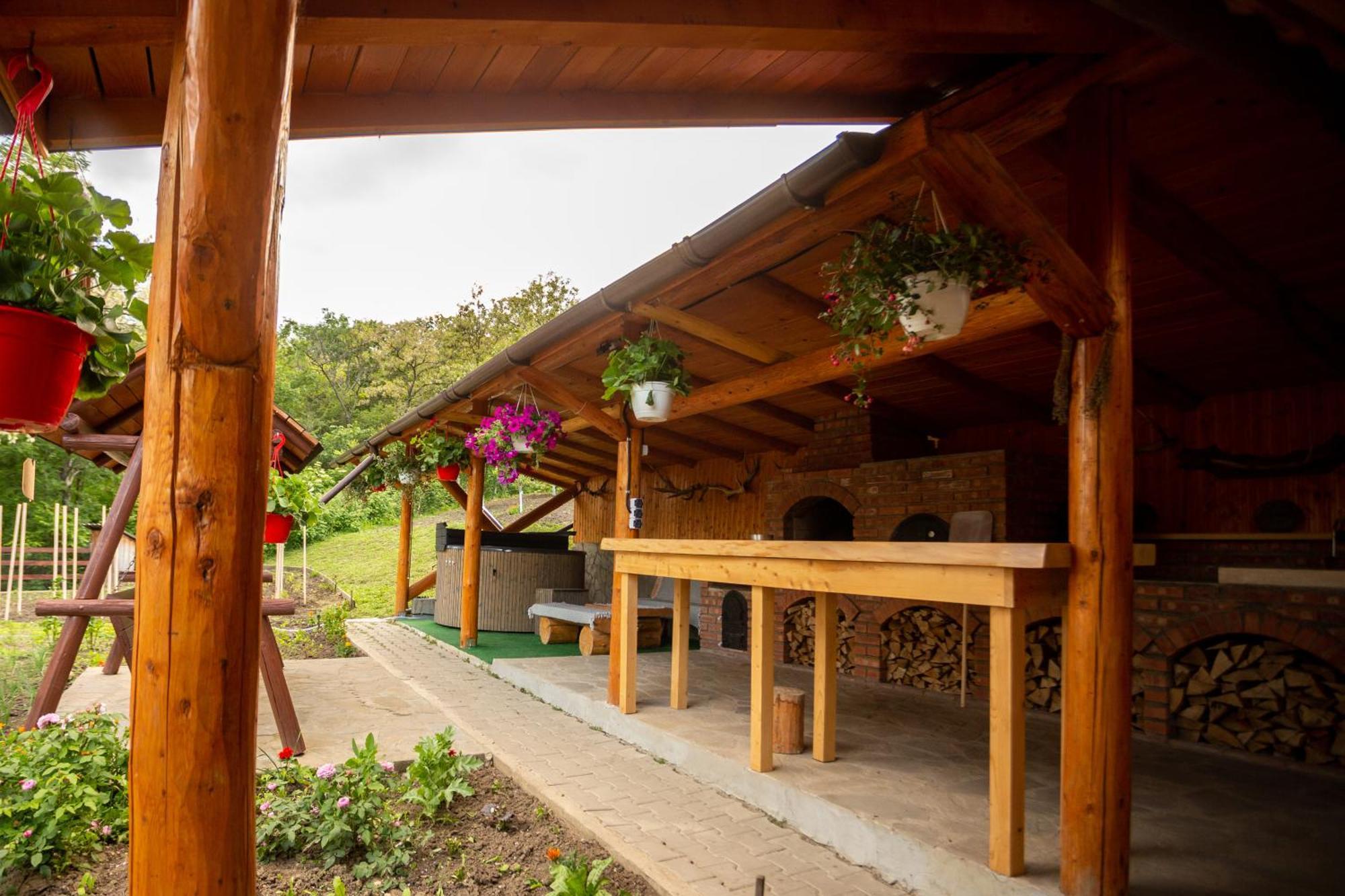 Casa Rumelia Paltineni Екстер'єр фото
