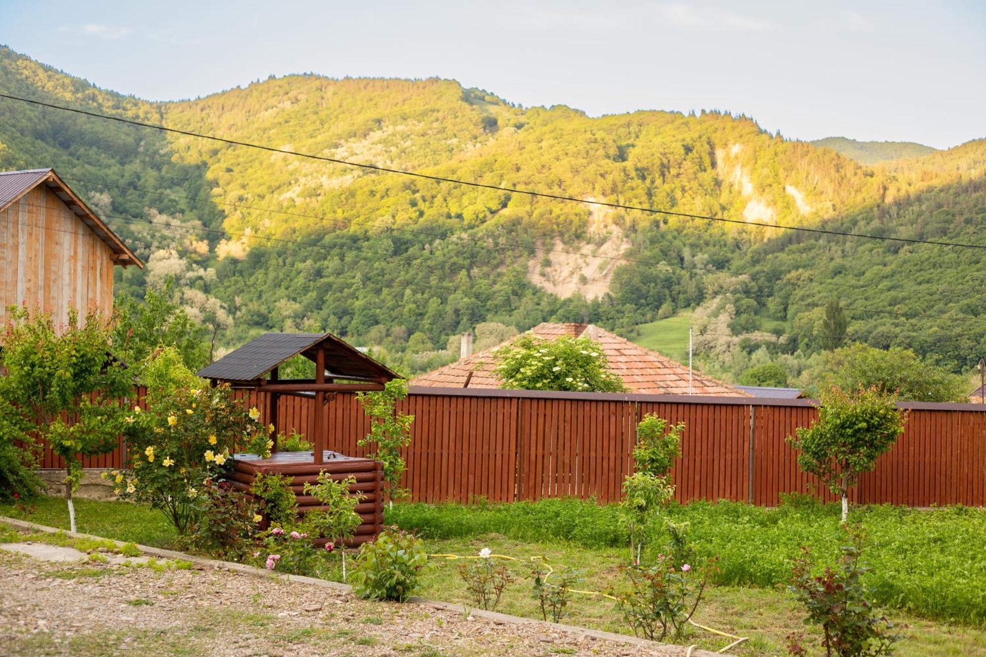 Casa Rumelia Paltineni Екстер'єр фото